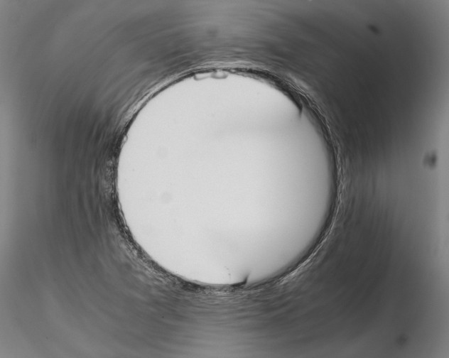 X0000114621361200912010951