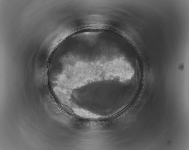 X0000114621362200912010951