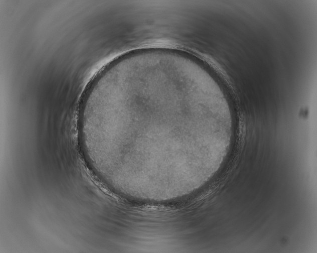 X0000114621364200912010951