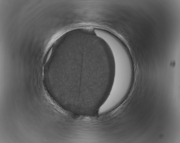 X0000114621365200912010951