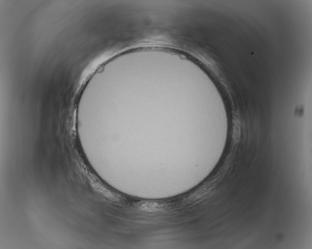 X0000114621366200912010951