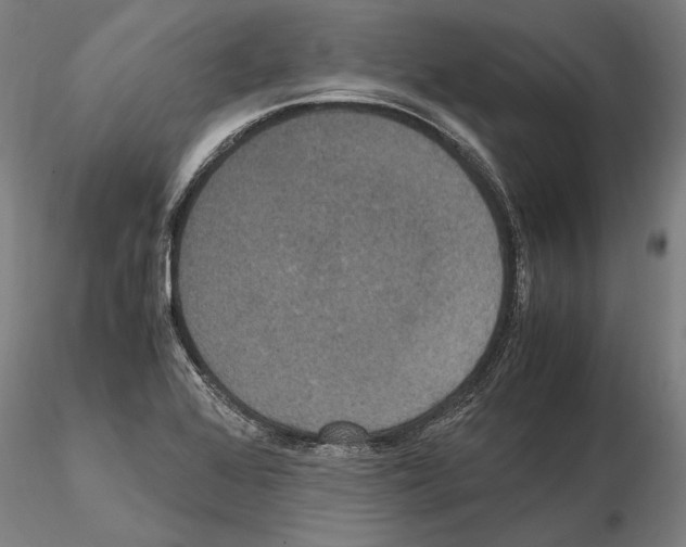 X0000114621368200912010951