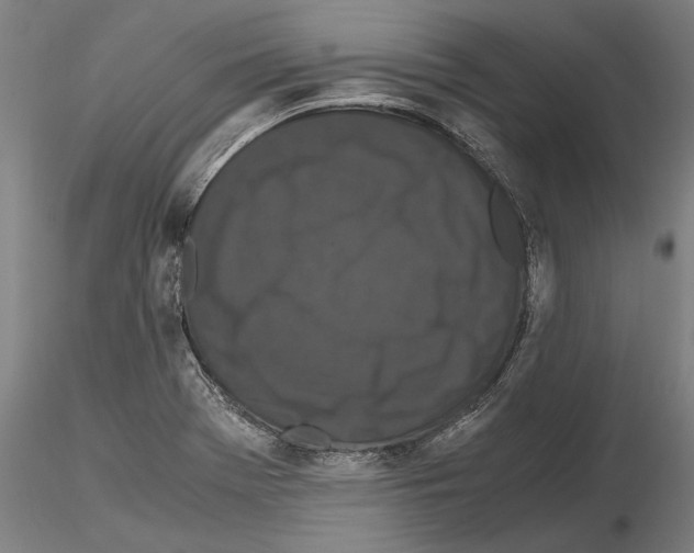 X0000114621369200912010951