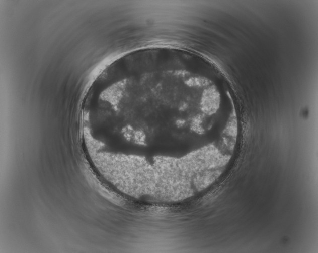 X0000114621371200912010951