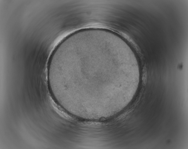 X0000114621372200912010951