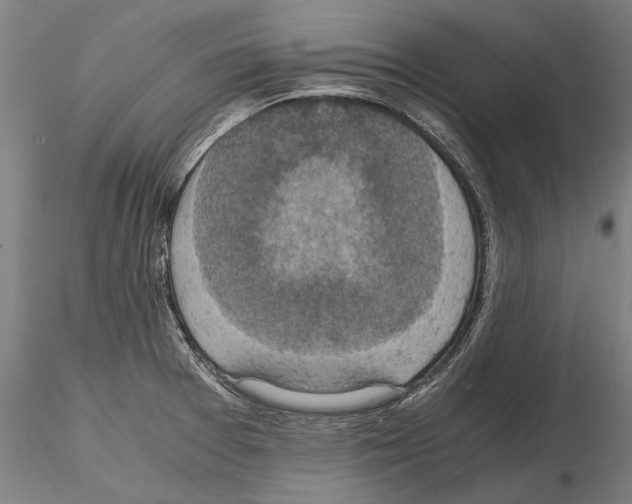 X0000114621377200912010951