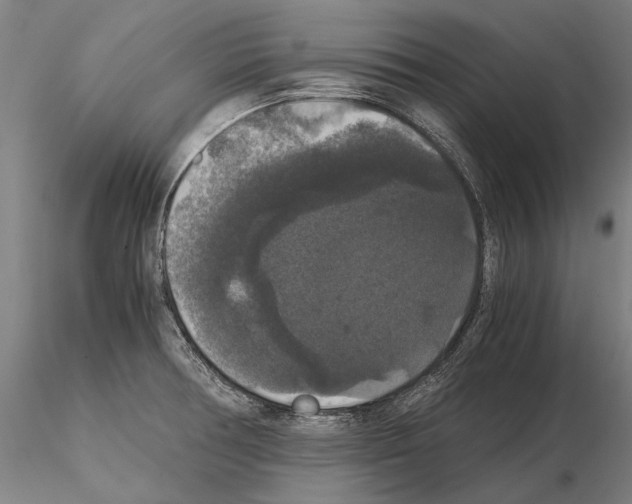 X0000114621378200912010951