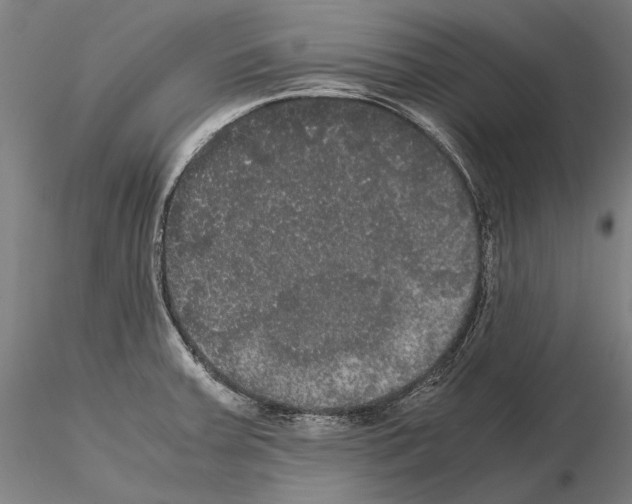 X0000114621379200912010951