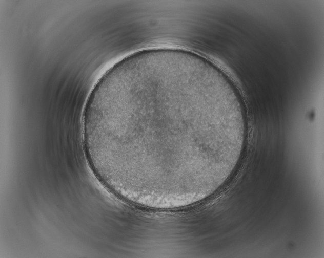 X0000114621380200912010951