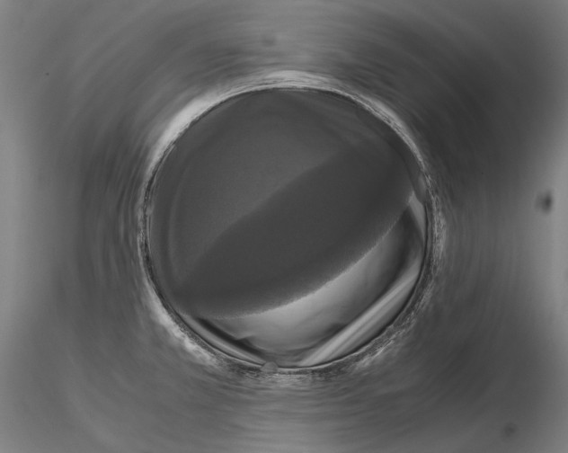 X0000114621381200912010951