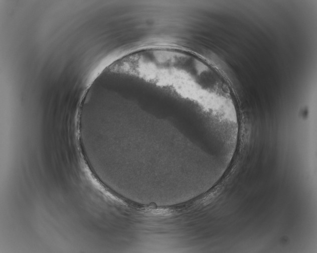 X0000114621382200912010951