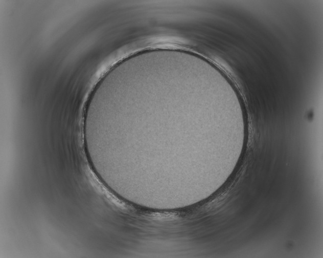 X0000114621384200912010951