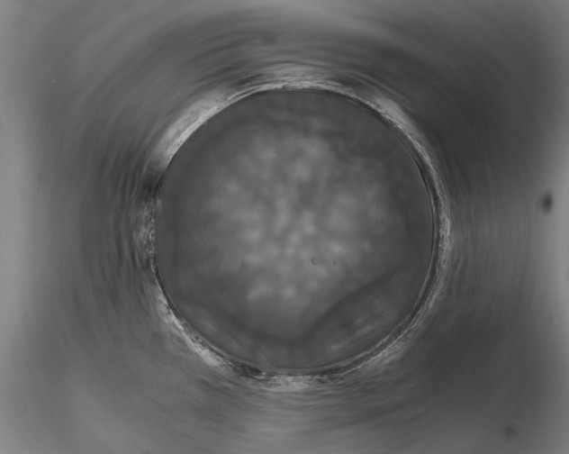 X0000114621385200912010951