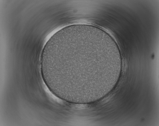 X0000114621387200912010951