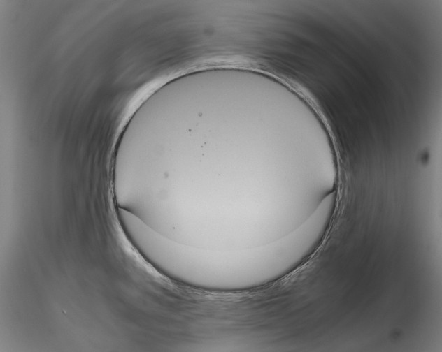 X0000114621389200912010951