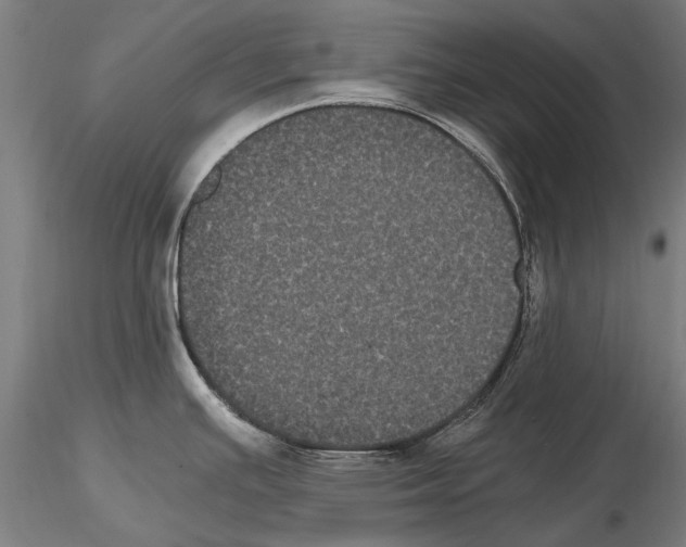 X0000114621391200912010951