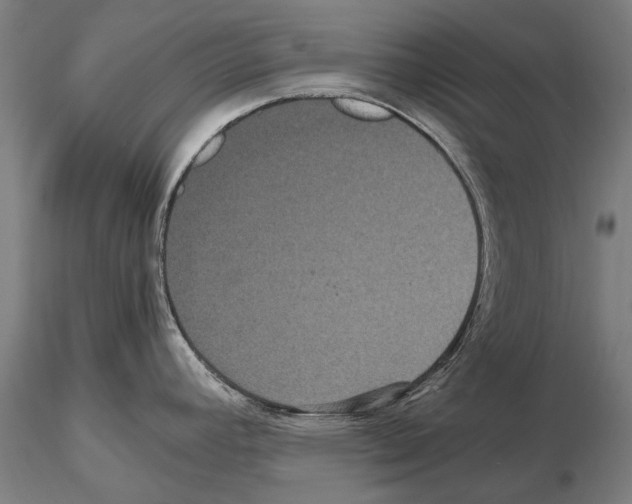 X0000114621392200912010951