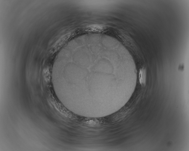 X0000114621395200912010950