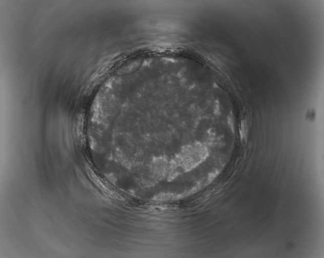 X0000114621396200912010950