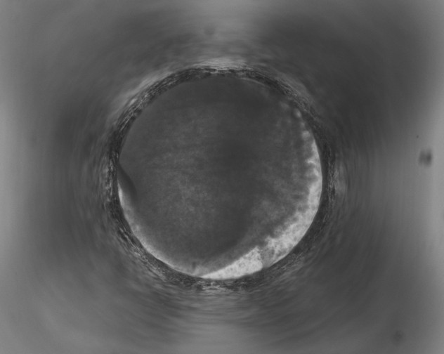 X0000114621398200912010950