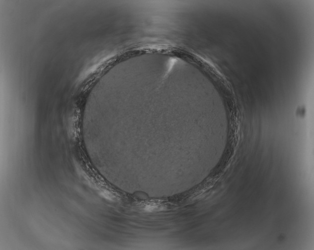 X0000114621399200912010950