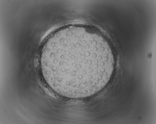 X0000114621400200912010950