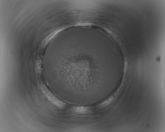 X0000114621401200912010950