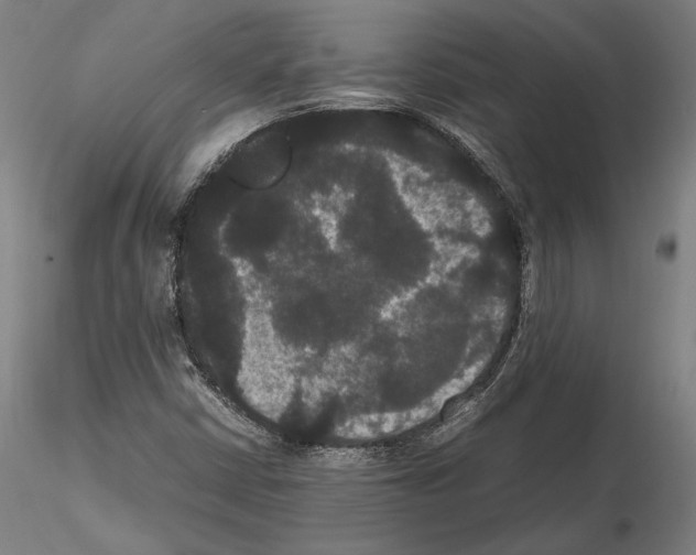 X0000114621402200912010950