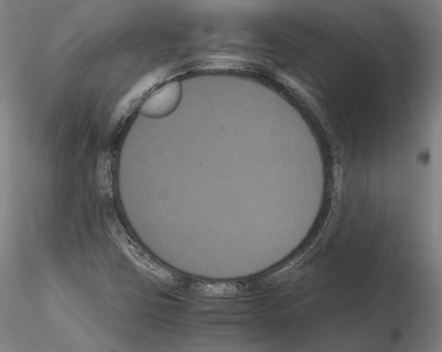 X0000114621403200912010950