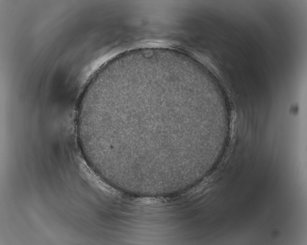 X0000114621404200912010950