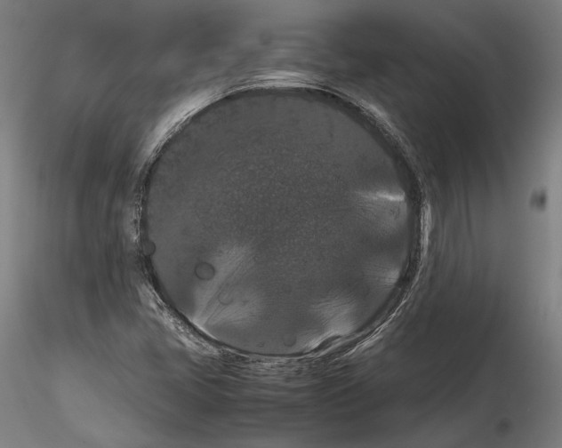 X0000114621405200912010950