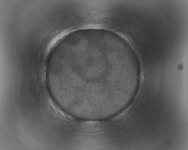 X0000114621406200912010950