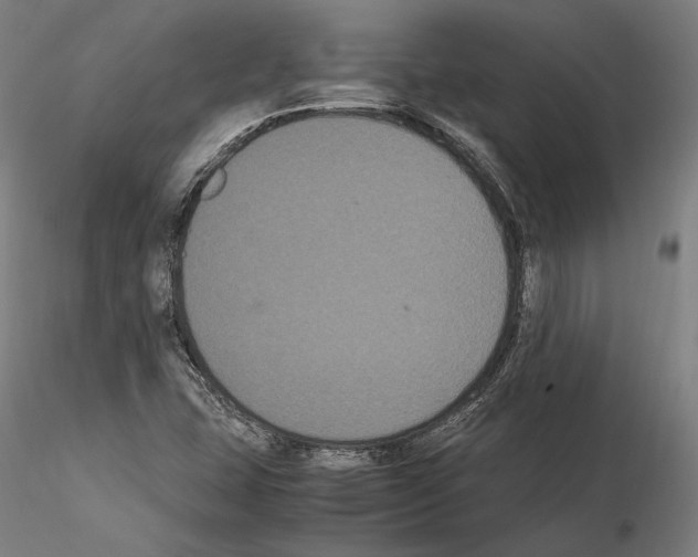 X0000114621407200912010950