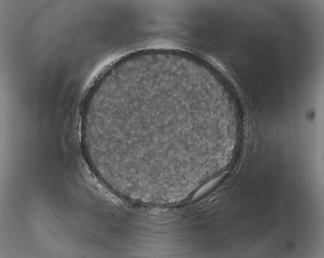 X0000114621408200912010950