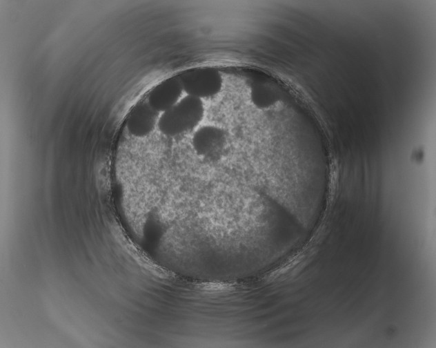 X0000114621409200912010950