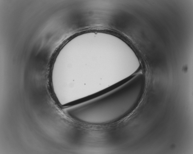 X0000114621410200912010950