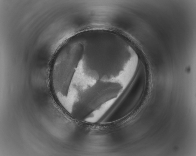 X0000114621411200912010950