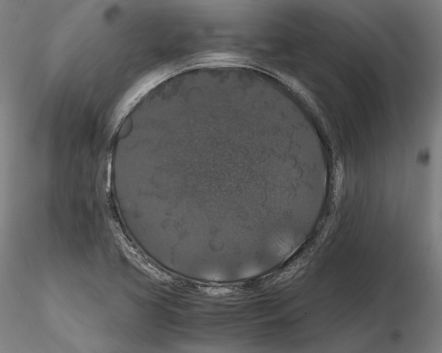 X0000114621413200912010950