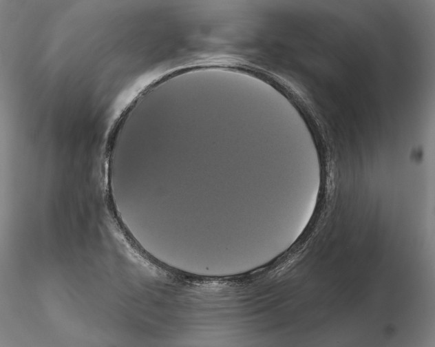 X0000114621414200912010950