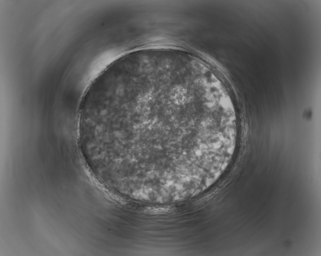 X0000114621415200912010950