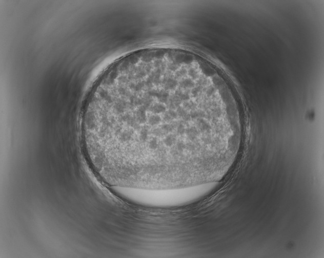 X0000114621416200912010950