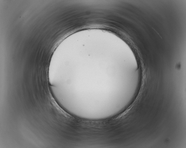 X0000114621417200912010950