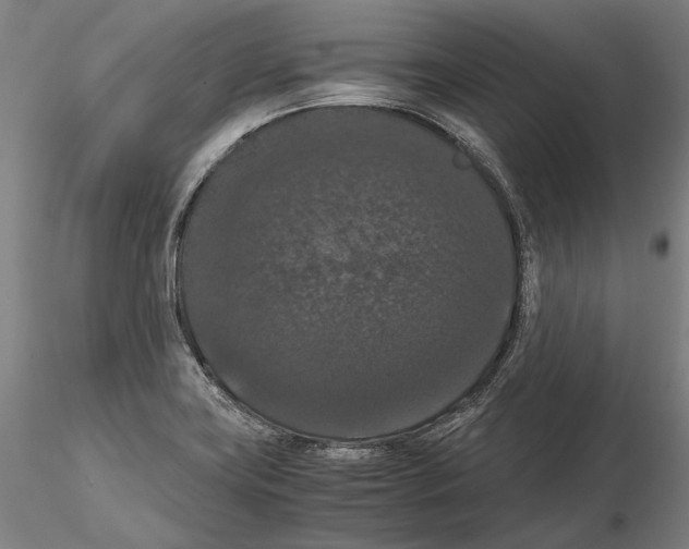 X0000114621419200912010950