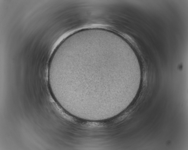 X0000114621420200912010950