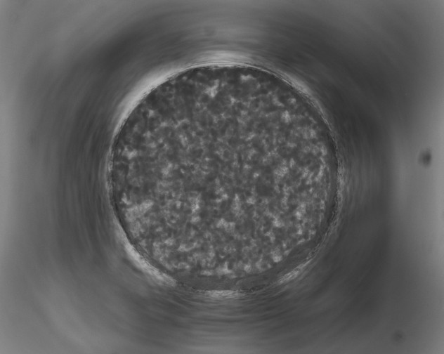 X0000114621421200912010950