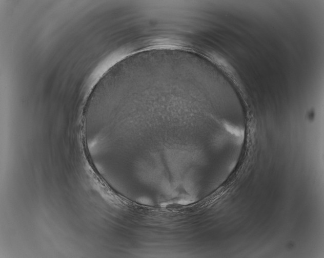 X0000114621427200912010950