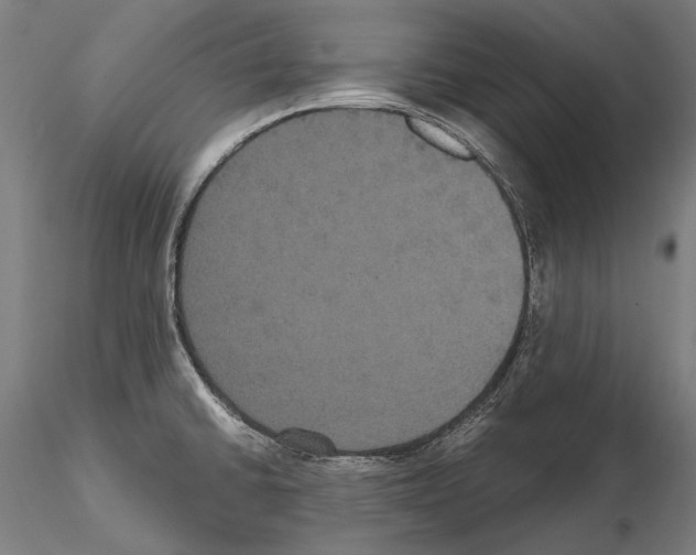 X0000114621430200912010950