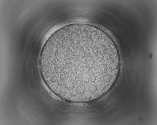 X0000114621432200912010950