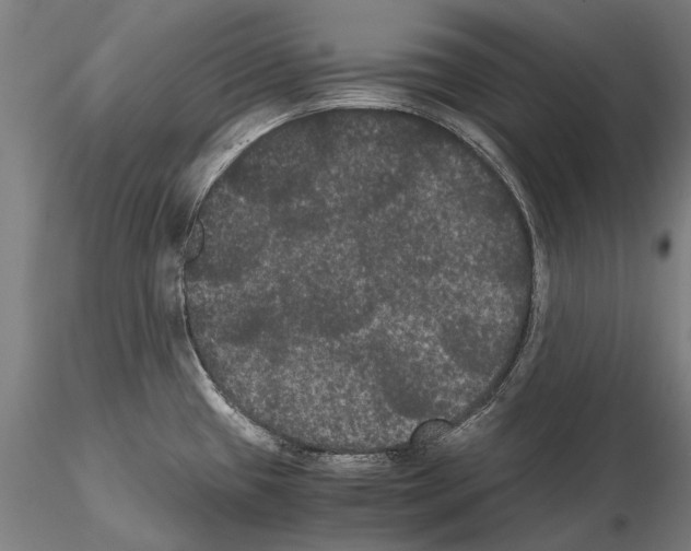 X0000114621433200912010950