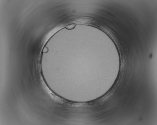 X0000114621434200912010950